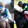 Each Way Multiplier Review – Horse Racing Tipster Service