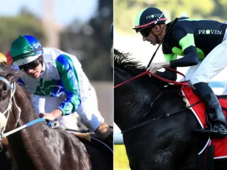 Each Way Multiplier Review – Horse Racing Tipster Service