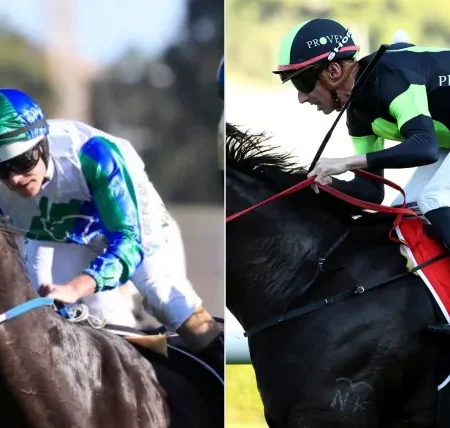 Each Way Multiplier Review – Horse Racing Tipster Service