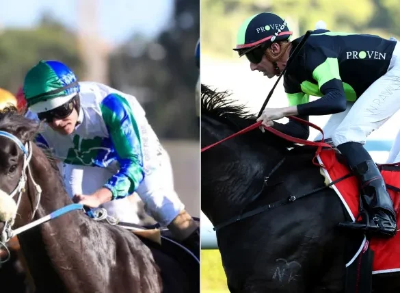 Each Way Multiplier Review – Horse Racing Tipster Service
