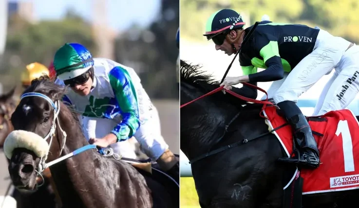 Each Way Multiplier Review – Horse Racing Tipster Service