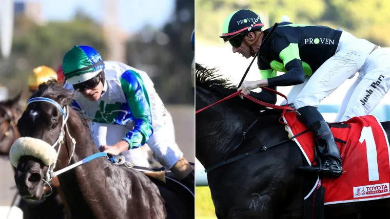 Each Way Multiplier Review – Horse Racing Tipster Service